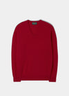 Men's Geelong Lambswool Vee Neck Jumper in Raspberry