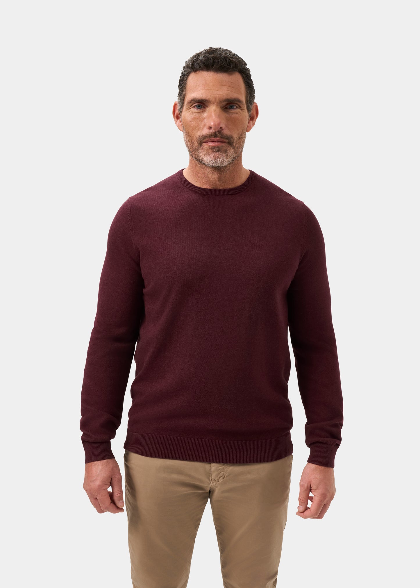 Men's Cotton Cashmere Crew Neck Jumper in Purple