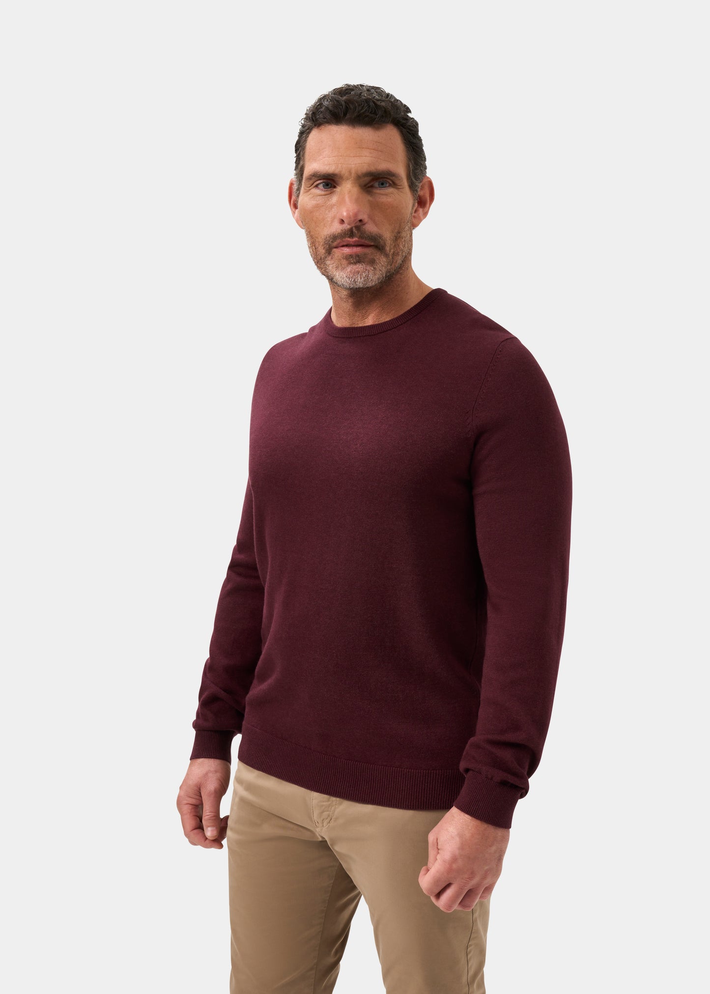 Men's Cotton Cashmere Crew Neck Jumper in Purple