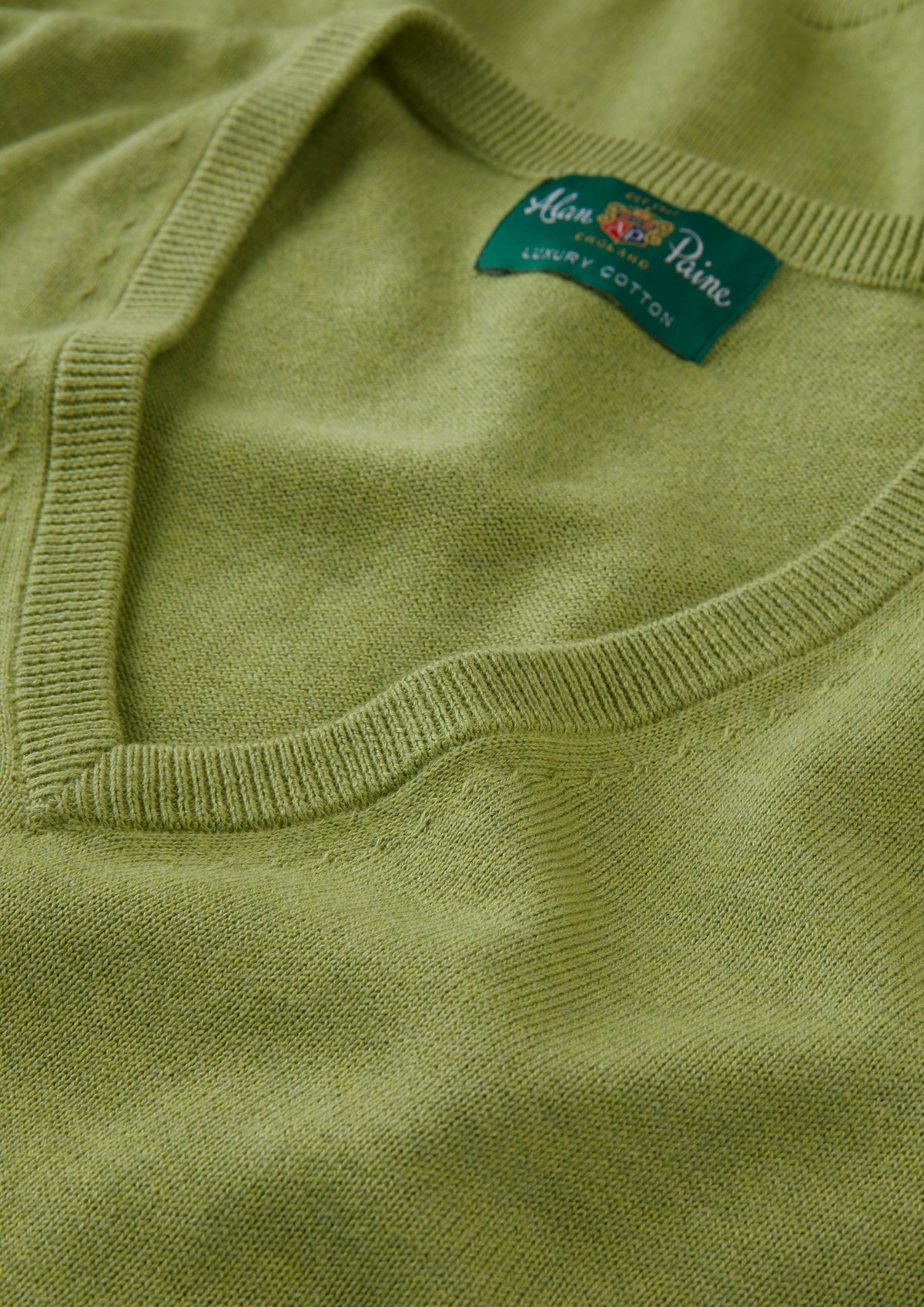 Men's Cotton Cashmere Vee Neck Jumper in Green