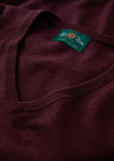 Men's Cotton Cashmere Vee Neck Jumper in Purple