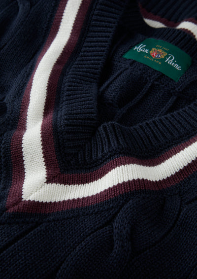 Men's Cotton Vee Neck Slipover Cricket Jumper in Navy and Purple