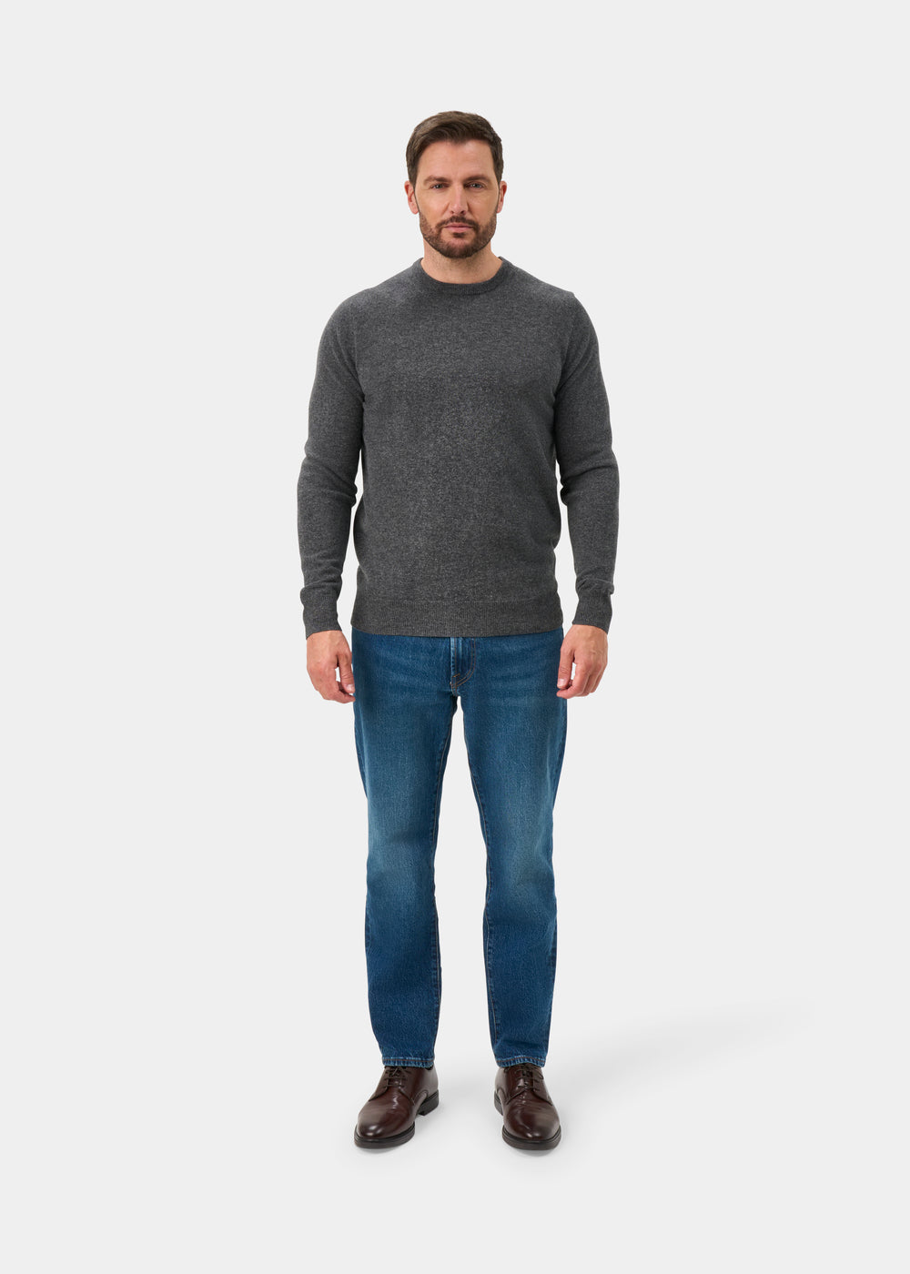 Brisbane Geelong Wool Jumper in Derby - Regular Fit