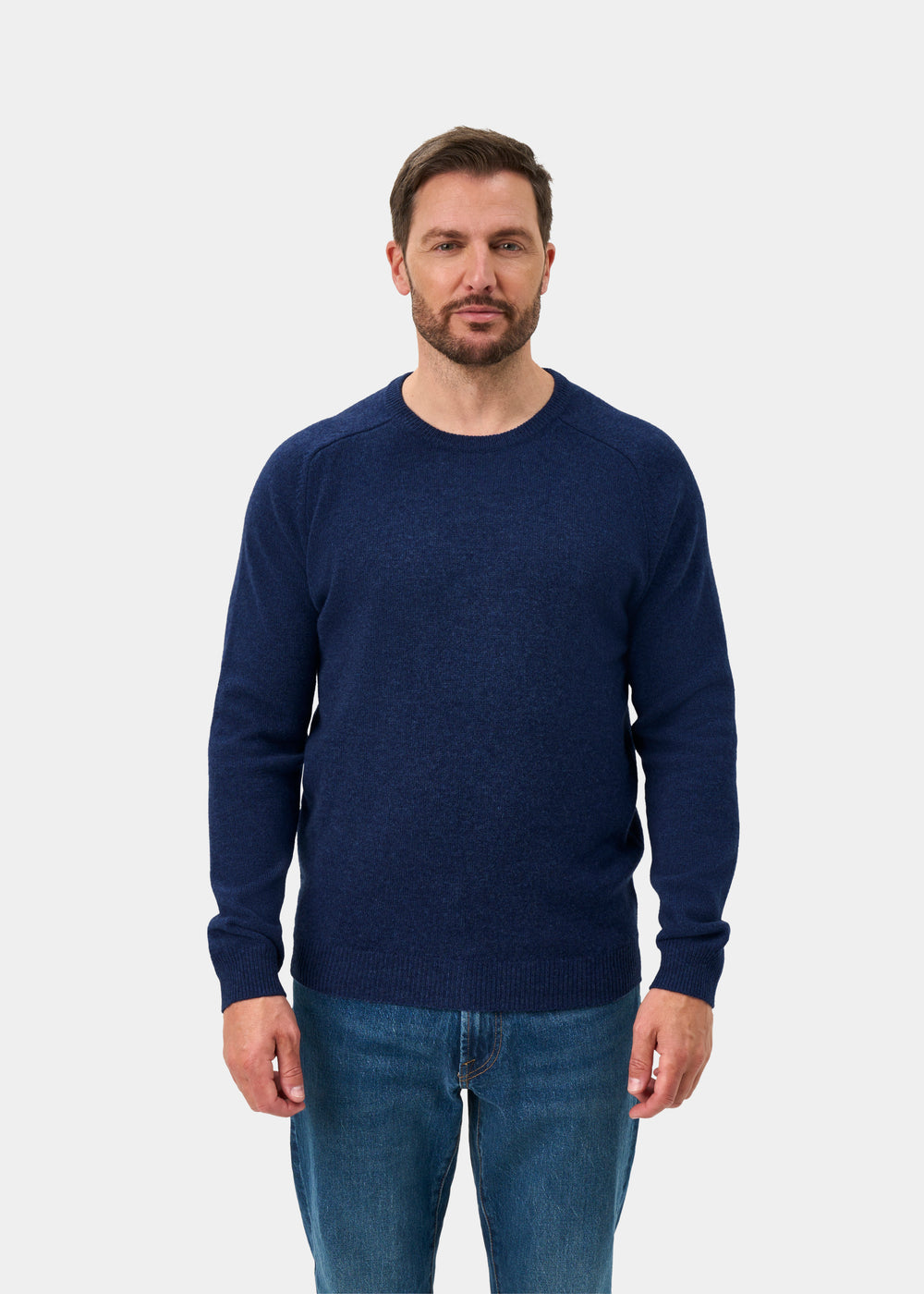 Lenzie Men's Lambswool Jumper In Rhapsody - Regular Fit
