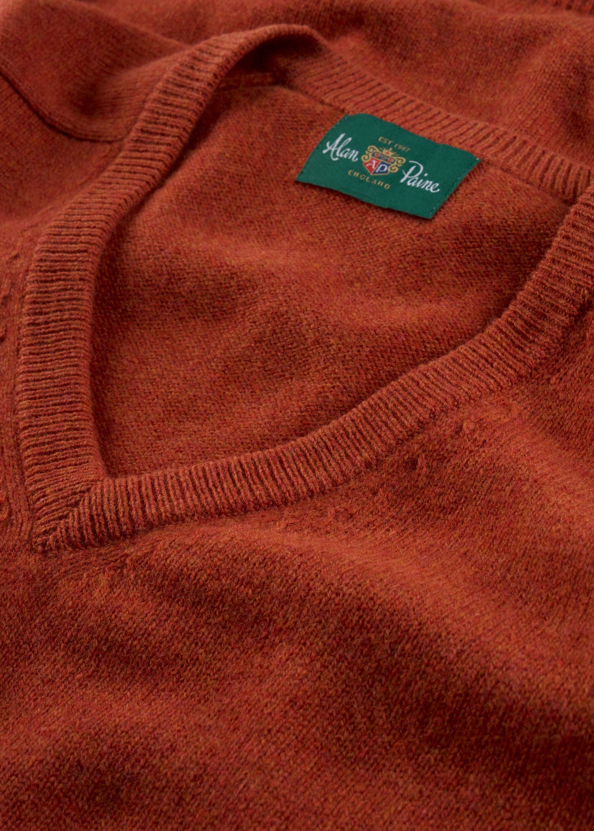 Men's Lambswool Vee Neck Jumper in Ember